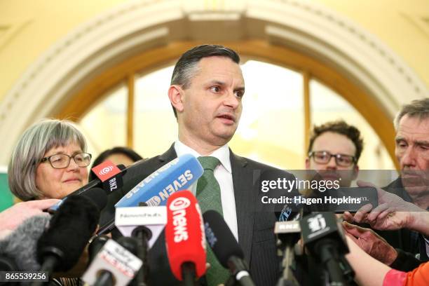 Leader James Shaw speaks during a Green Party press conference at Parliament on October 19, 2017 in Wellington, New Zealand. After weeks of coalition...