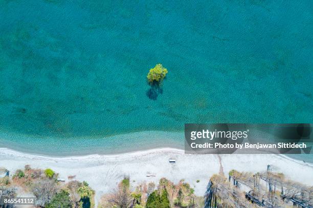 aerial view of wanaka tree, south island, new zealand - otago landscape stock pictures, royalty-free photos & images