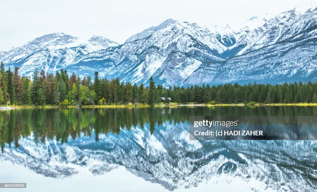 Colours of Autumn | Jasper National Park | Canada