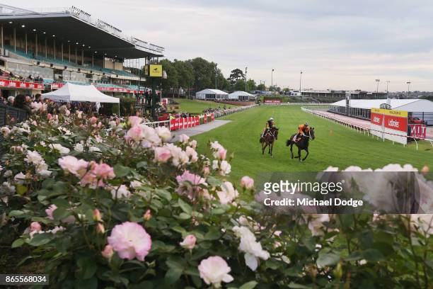 Sense Of Occassion and Sound Proposition gallop during Breakfast With The Stars at Moonee Valley Racecourse on October 24, 2017 in Melbourne,...