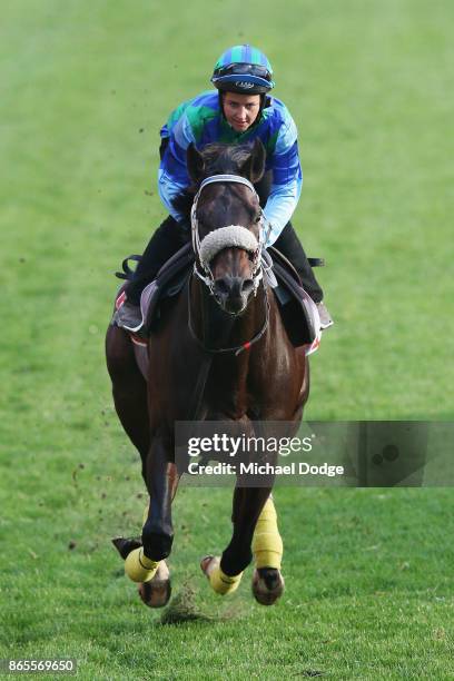 Kaspersky ridden by Michelle Payne gallops during Breakfast With The Stars at Moonee Valley Racecourse on October 24, 2017 in Melbourne, Australia.