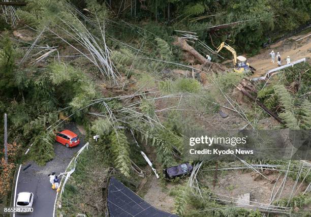 Photo taken Oct. 23 from a Kyodo News helicopter, shows trees fallen on a road in Kainan city in Wakayama Prefecture following a landslide caused by...