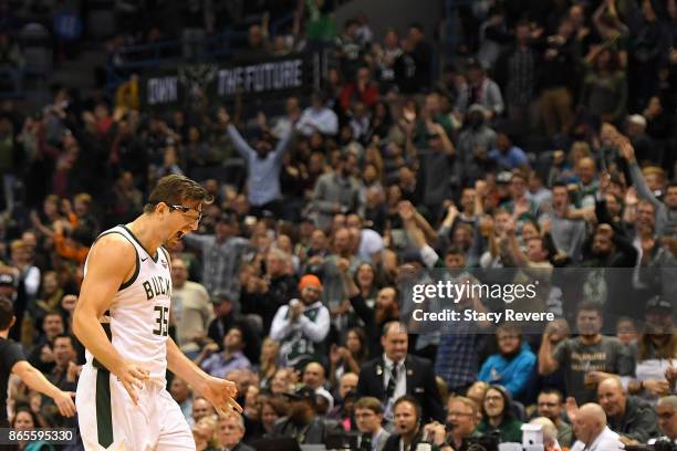 Mirza Teletovic of the Milwaukee Bucks reacts to a three point shot against the Charlotte Hornets during the second half of a game at the BMO Harris...