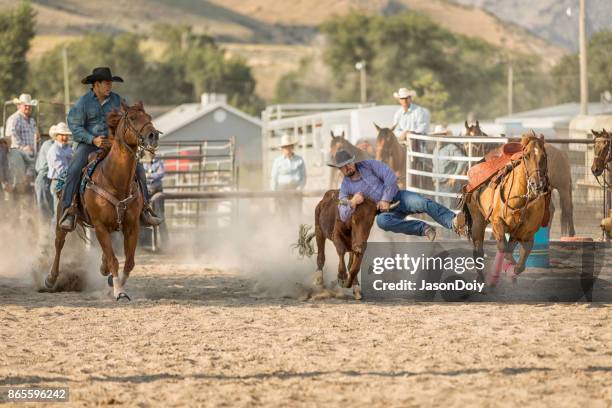 Bulldogging Bulldogging Photos and Premium High Res Pictures - Getty Images