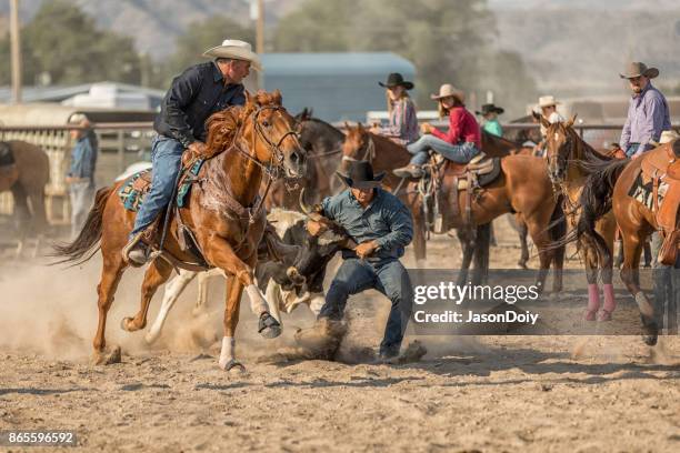 Bulldogging Bulldogging Photos and Premium High Res Pictures - Getty Images