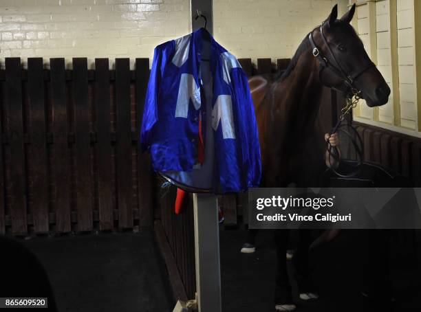Winx is seen ready and waiting for her trackwork session during Breakfast With The Best at Moonee Valley Racecourse on October 24, 2017 in Melbourne,...