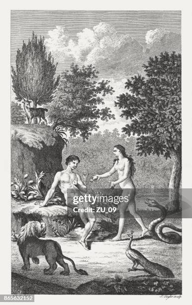 ilustrações de stock, clip art, desenhos animados e ícones de eve presenting the forbidden fruit to adam, published 1774 - adão e eva