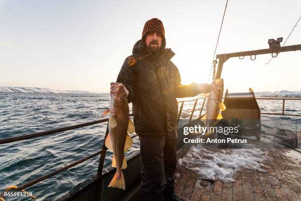 fisherman on boat with cod in the hands at sunset - portrait fisherman stock-fotos und bilder