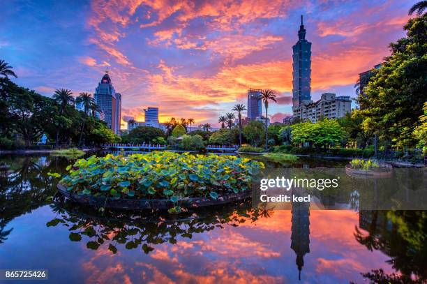 taipei 101 scraper - taipei stock pictures, royalty-free photos & images