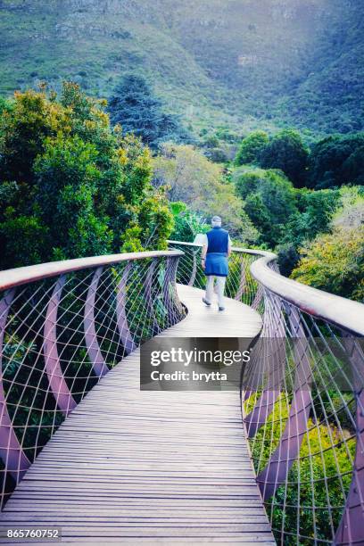 uomo che cammina sulla passerella a baldacchino dell'albero di boomslang nei giardini botanici nazionali di kirstenbosch a città del capo, sudafrica - ponte pedonale foto e immagini stock