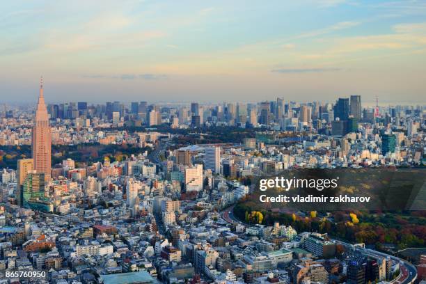 whole central tokyo cityscape view - yoyogi tokyo stock pictures, royalty-free photos & images