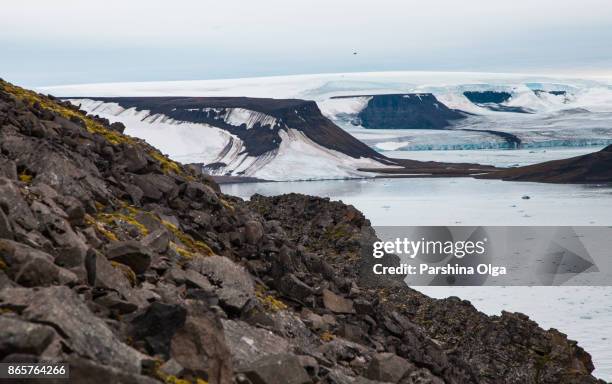 franz josef land archipelago, russia - franz josef land stock pictures, royalty-free photos & images