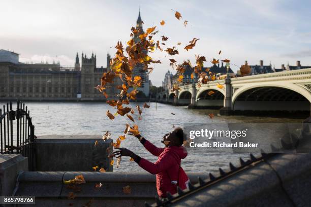 Man throws up autumn leaves opposite the Houses of Oarliament in Westminster, on 20th October 2017, in London, England.