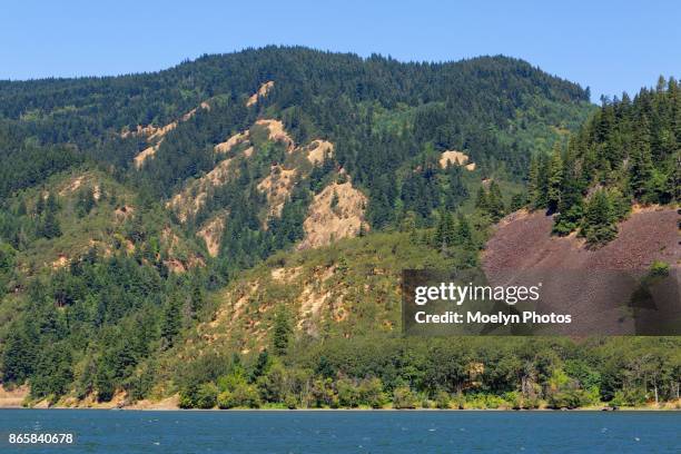 columbia river gorge scenery - tualatin stock pictures, royalty-free photos & images