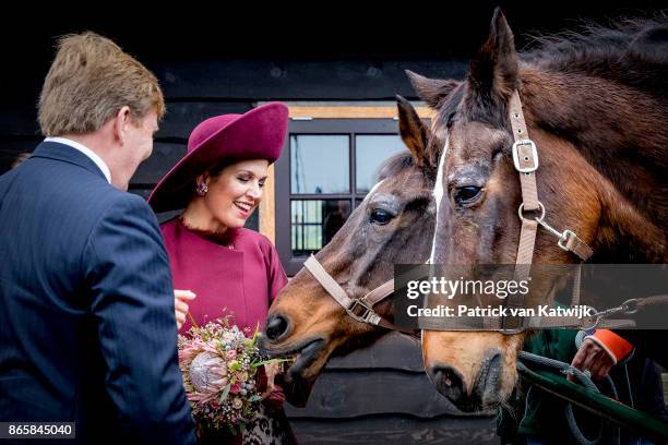 King Willem-Alexander of The Netherlands and Queen Maxima of The Netherlands visit farm Het Gagelgat during their region visit to Eemnland on October...