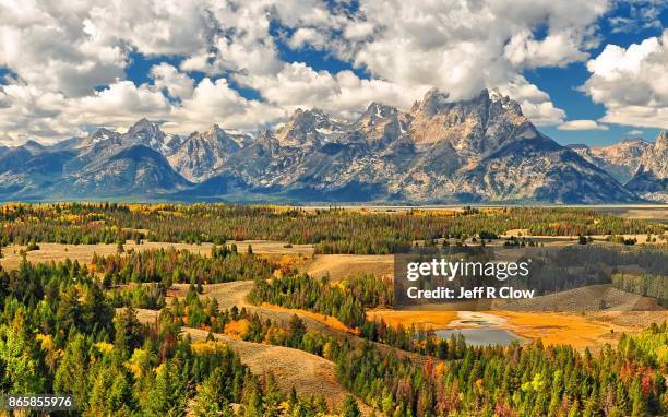 autumn color in grand teton national park 6 - grand teton national park stockfoto's en -beelden