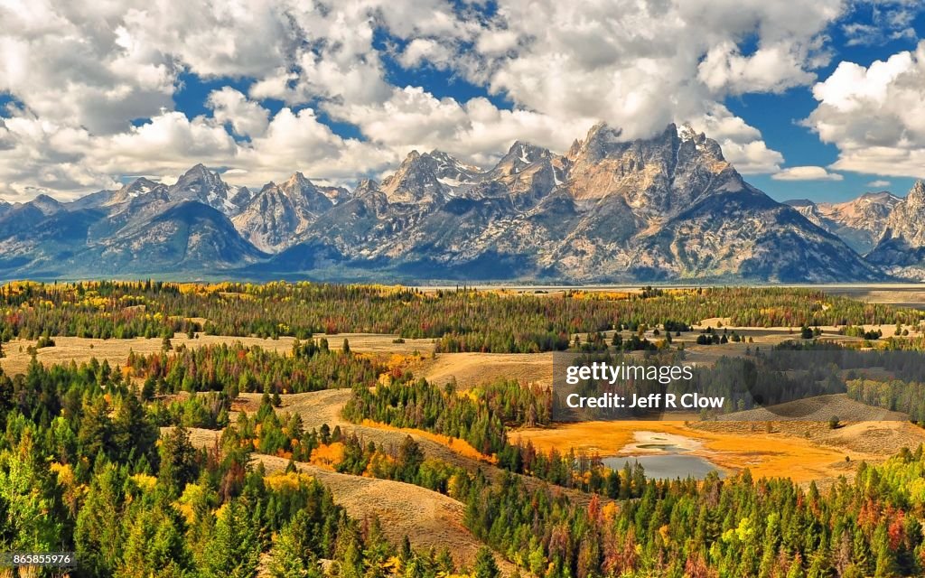 Autumn Color in Grand Teton National Park 6