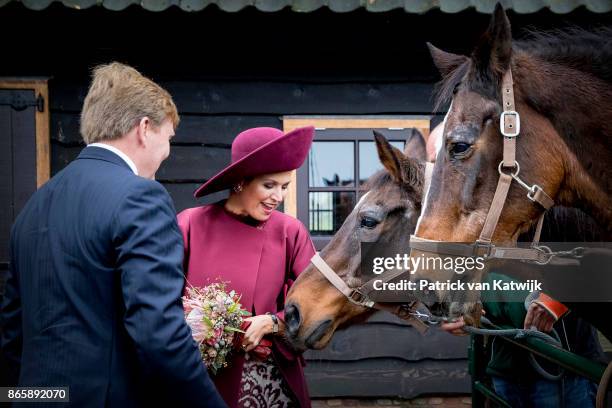 King Willem-Alexander of The Netherlands and Queen Maxima of The Netherlands visit farm Het Gagelgat during there region visit to Eemland on October...