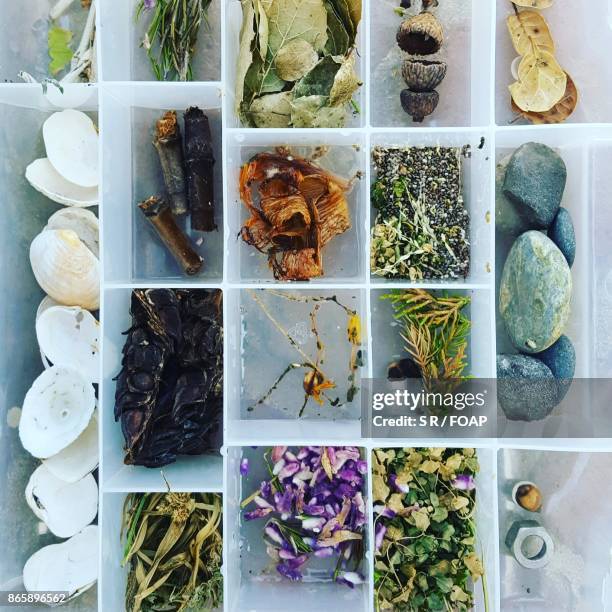 variety of nature collection in box - foap stockfoto's en -beelden