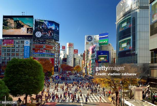 shibuya crossing - shibuya stock pictures, royalty-free photos & images