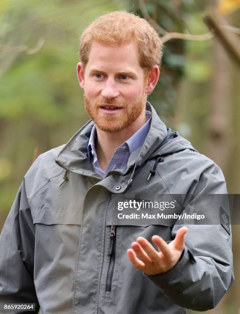 Prince Harry visits Myplace at Brockholes Nature Reserve, a project which aims to empower young people by encouraging them to take action in...