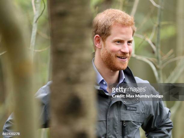 Prince Harry visits Myplace at Brockholes Nature Reserve, a project which aims to empower young people by encouraging them to take action in...