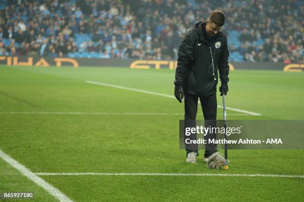 Squirrel on the pitch before the game in the Carabao Cup Fourth Round fixture between Manchester City and Wolverhampton Wanderers at Etihad Stadium...