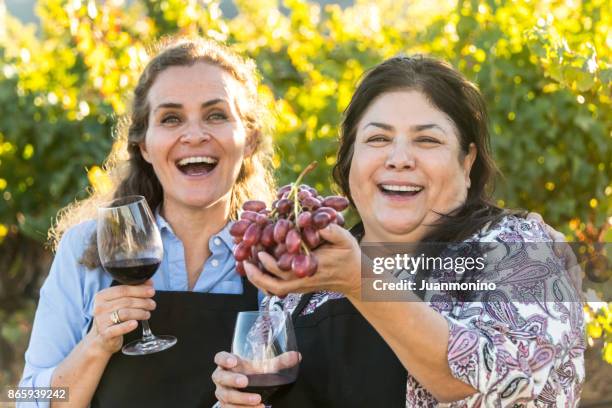 wine time - fat lesbian stock pictures, royalty-free photos & images