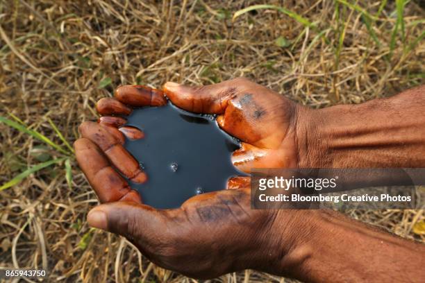a man holds a pool of black oil in the palm of his hands - nigeria fotografías e imágenes de stock