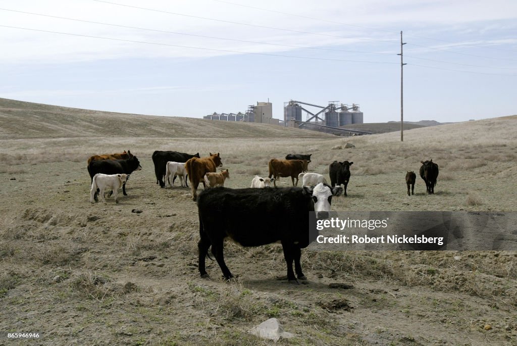 Coal Mining In Gillette, Wyoming