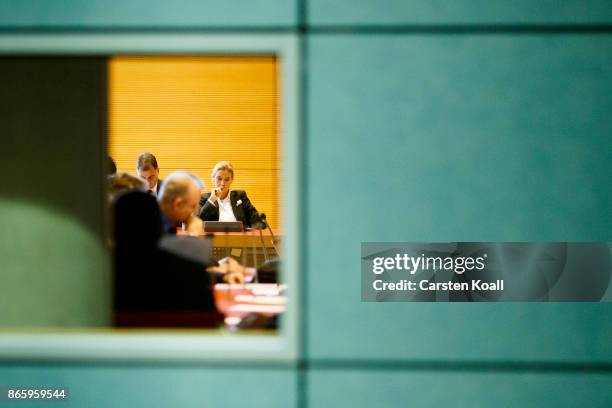 Co-leader of the AfD Bundestag faction Alice Weidel attends the Alternative for Germany faction meeting before the opening session of the new...