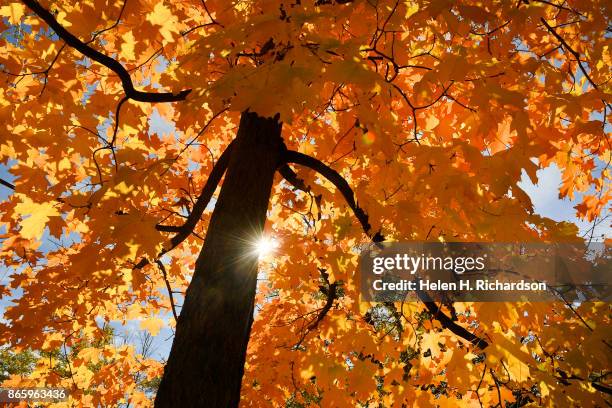 Mapleton Colorado The Mapleton Photos and Premium High Res Pictures - Getty Images