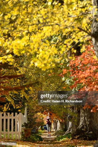 Mapleton Colorado The Mapleton Photos and Premium High Res Pictures - Getty Images