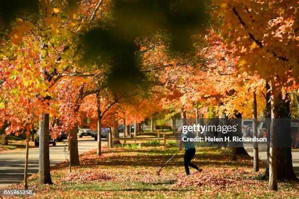 Mapleton Colorado The Mapleton Photos and Premium High Res Pictures - Getty Images