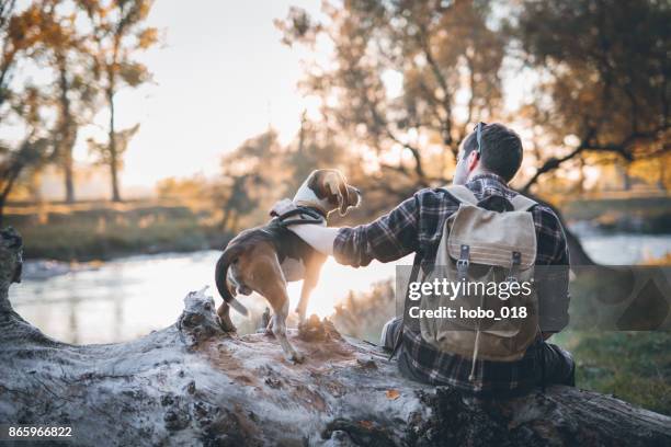 adventures by the river - dog hiking stock pictures, royalty-free photos & images