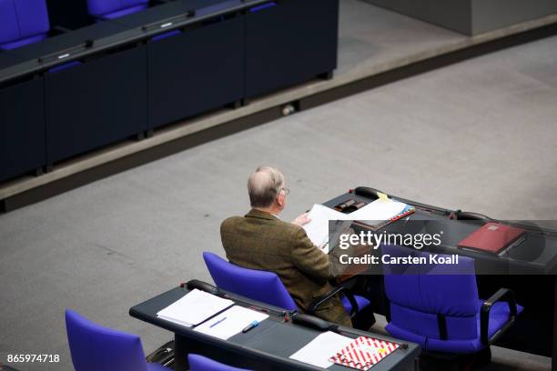 Co-leader of the AfD Bundestag faction Alexander Gauland attends the opening session of the new Bundestag on October 24, 2017 in Berlin, Germany....