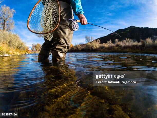 fly fishing on scenic river - fly casting imagens e fotografias de stock