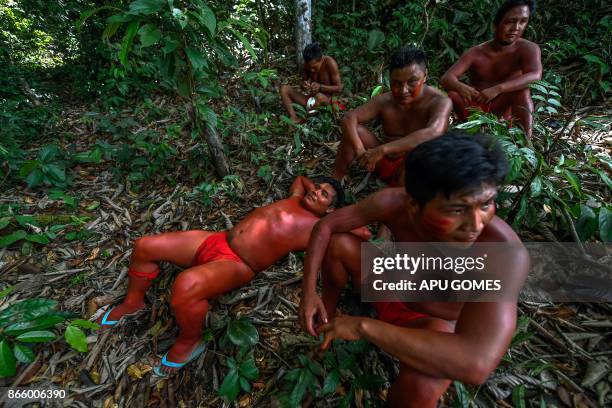 Waiapi men into the jungle in the Waiapi indigenous reserve in Amapa state in Brazil on October 14, 2017. Tribal chieftain Tzako Waiapi perfectly...