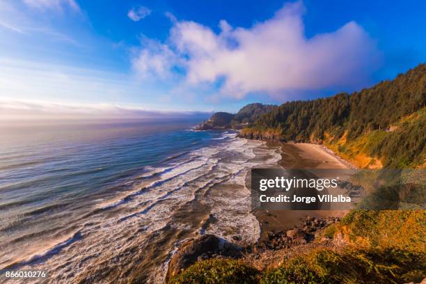 heceta head lighthouse on the oregon coastline - costa de oregon imagens e fotografias de stock