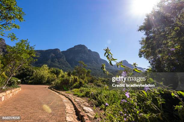 The Ultimate Guide to Eco-Friendly Landscaping in South Africa