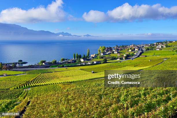 lavaux vineyards, switzerland - lausanne stock pictures, royalty-free photos & images