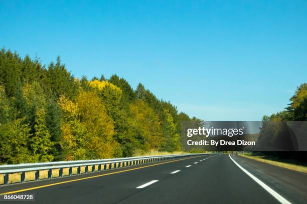 row of trees beside an empty highway - manchester new hampshire photos et images de collection