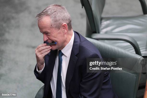 Leader of the Opposition Bill Shorten during House of Representatives question time at Parliament House on October 25, 2017 in Canberra, Australia....