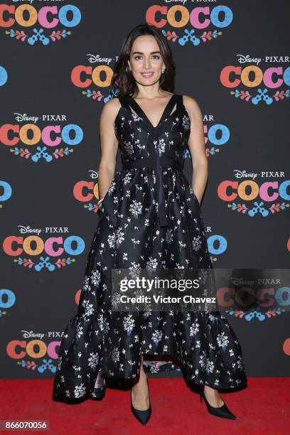 Ana de la Reguera attends the "Coco" Mexico City premiere at Palacio de Bellas Artes on October 24, 2017 in Mexico City, Mexico.