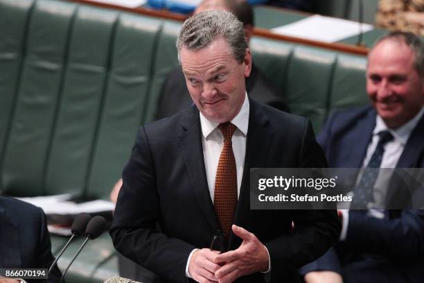 Minister for Defence Industry Christopher Pyne during House of Representatives question time at Parliament House on October 25, 2017 in Canberra,...