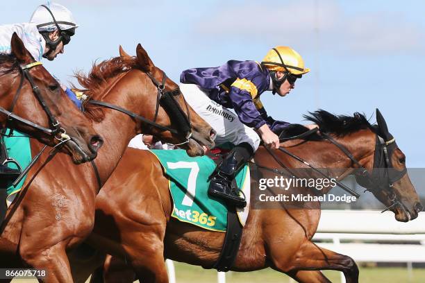 Vengeur Masque ridden by Patrick Moloney wins race 7 the bet365 Geelong Cup ahead of Craig Williams riding Gallic Chieftain during Melbourne Racing...