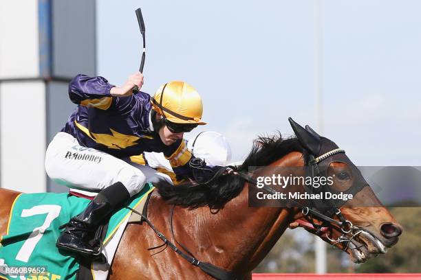 Vengeur Masque ridden by Patrick Moloney wins race 7 the bet365 Geelong Cup ahead of Craig Williams riding Gallic Chieftain during Melbourne Racing...