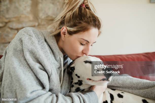 dalmatiner hund küssen - dalmatiner stock-fotos und bilder