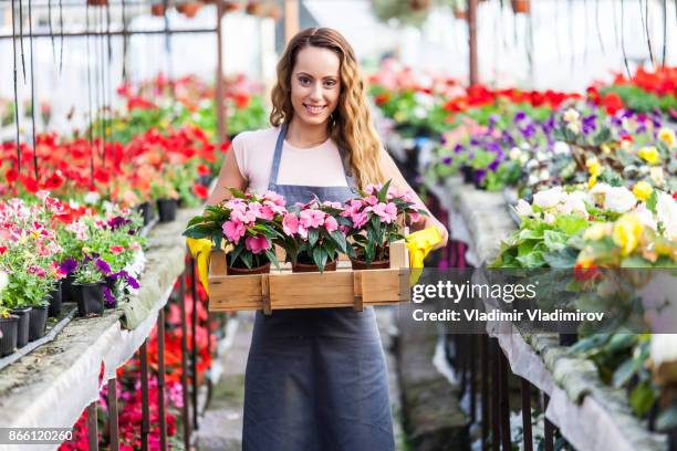 frau im gewächshaus - junge frau allein stock-fotos und bilder