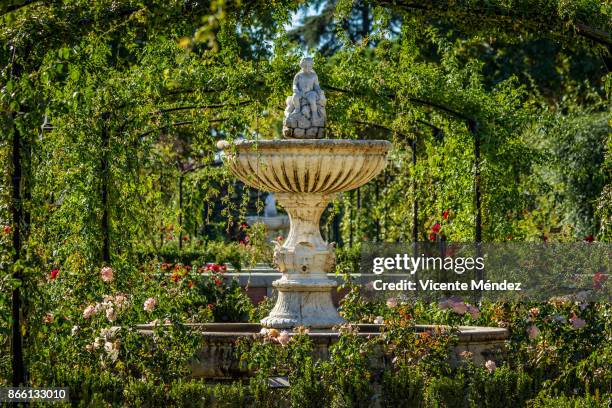 the rose garden of the retiro park - roseto foto e immagini stock